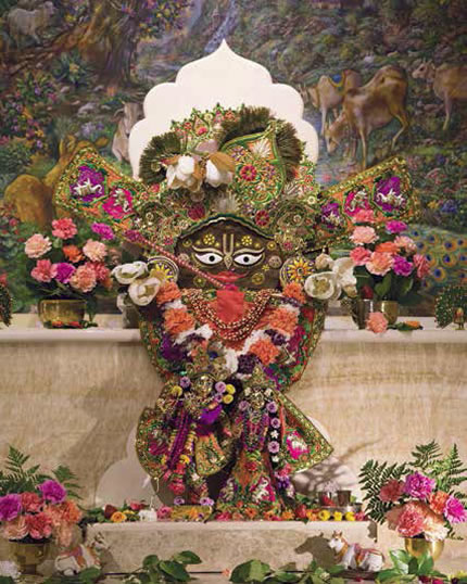 La Shila (Divinità sotto forma di pietra) insolitamente grande di Sri Giriraja Krishna, che viene adorata sull’altare fin dal 1990.